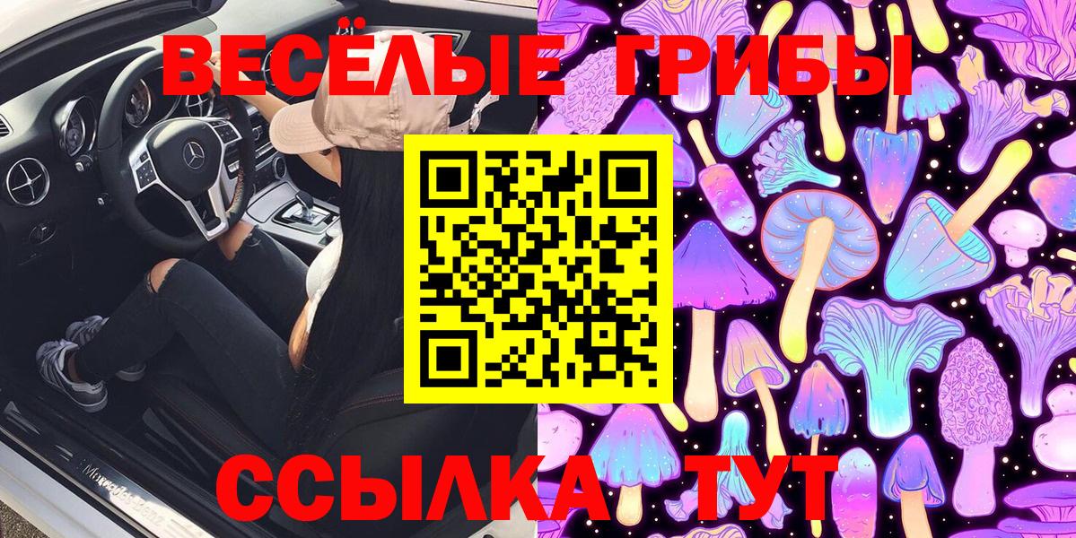 Галлюциногенные грибы MAGIC MUSHROOMS  Псилоцибиновые грибы Magic Shrooms  Тула  Вход с VPN 